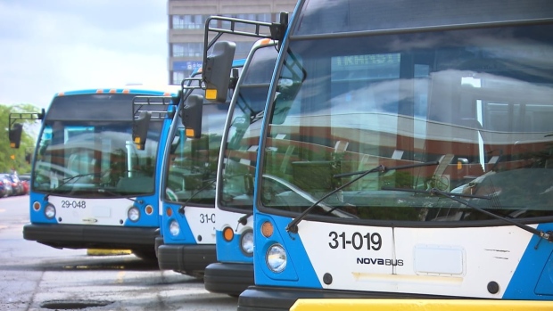 Водители квебекских автобусов просят разъяснить им «закон о парандже»
