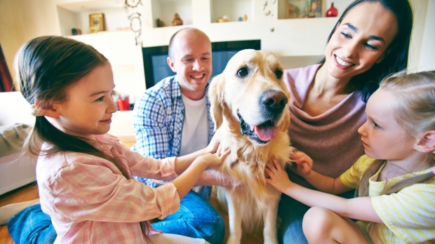 Собаки в качестве защиты от экземы и астмы