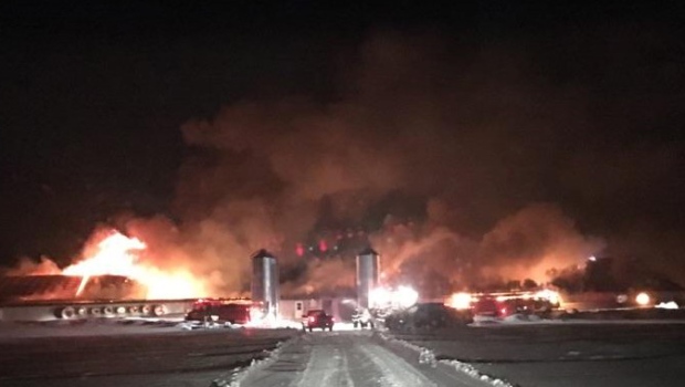 Пожар на животноводческой ферме в Онтарио