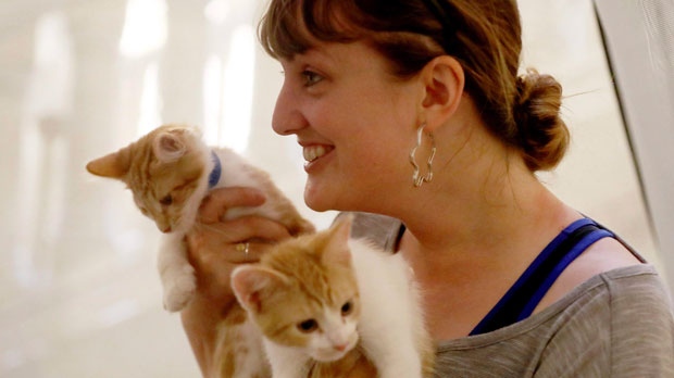 Приют для животных в Торонто: волонтеров уже более, чем достаточно