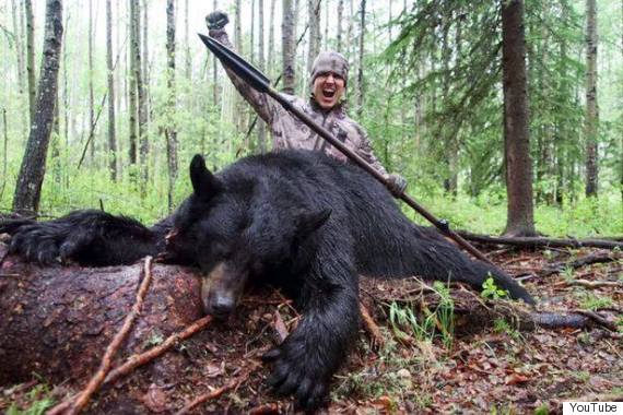 Альберта запретила охотиться на медведя с дротиками и копьями