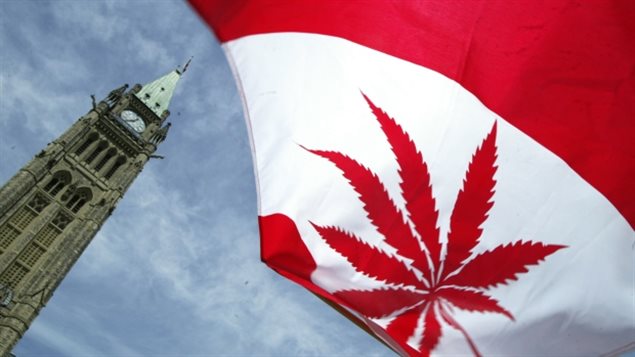 Трюдо не ответил, возможно ли отложить легализацию марихуаны в Канаде