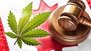 Канадцы предпочтут легальные источники марихуаны