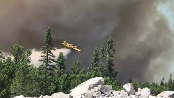 Лесные пожары не миновали и Онтарио