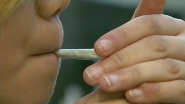 Полиция Канады не готова к легализованной марихуане