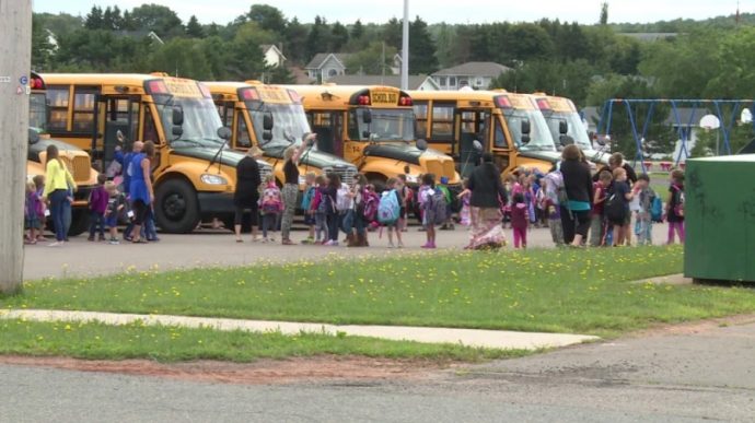Канада: в школьных автобусах ремни не нужны