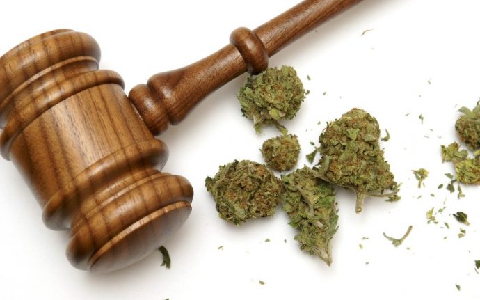 Канадская фирма Aurora Cannabis требует марихуановой амнистии