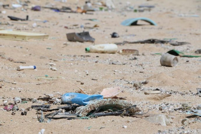 Пластик опасен для экологии Мирового океана и Великих озер