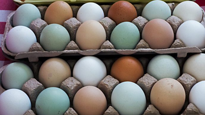 Интересный бизнес: яйца курицу не красят… или наоборот