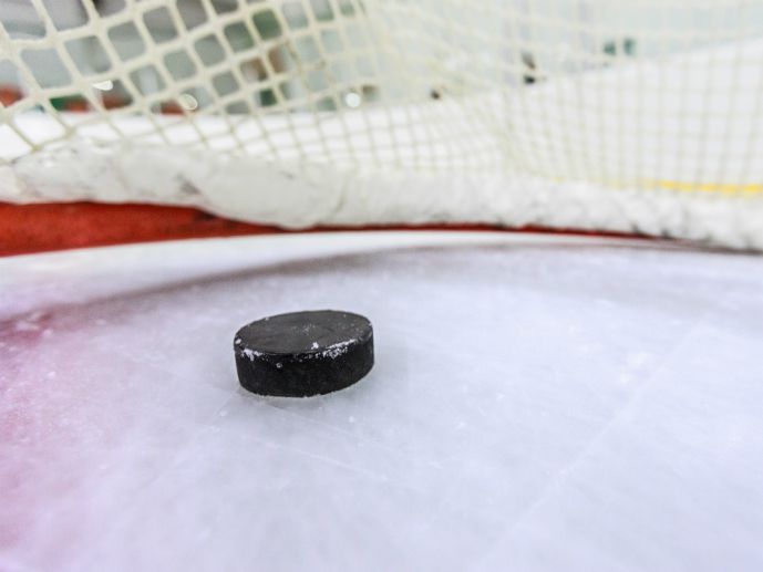 Сетка вокруг хоккейной коробки спасла бы жизнь девочки