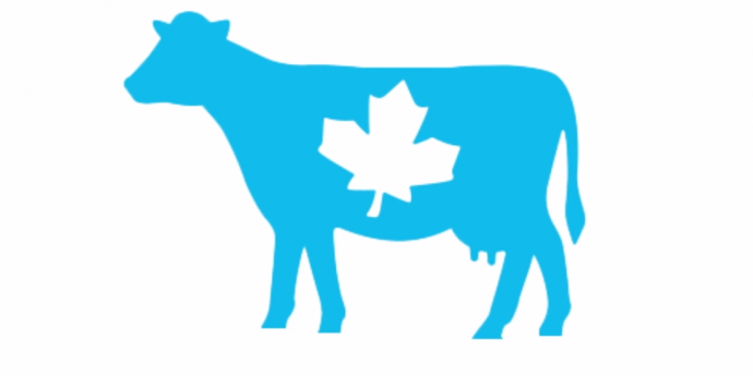 Квебекские фермеры встревожены потерей молочного рынка