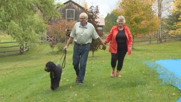 Умершую собаку пригласили голосовать в Канаде