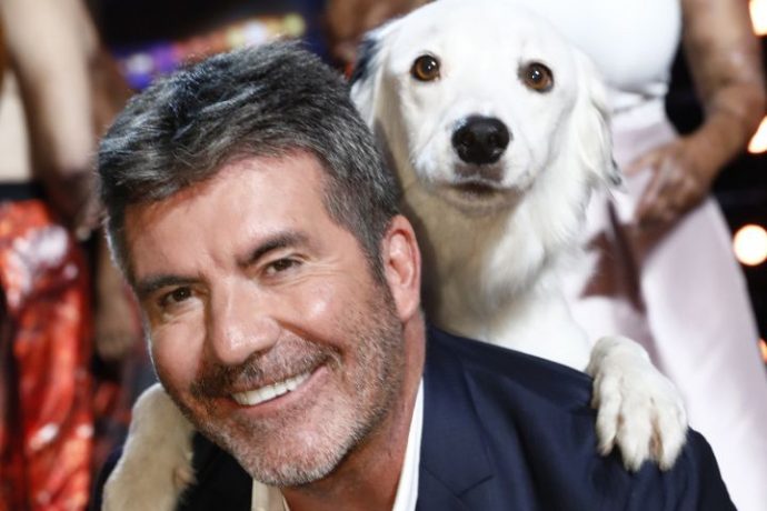 Ведущий American Idol спас собак от съедения в Корее