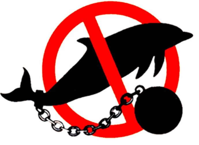 Китов и дельфинов в Канаде запрещено держать в неволе