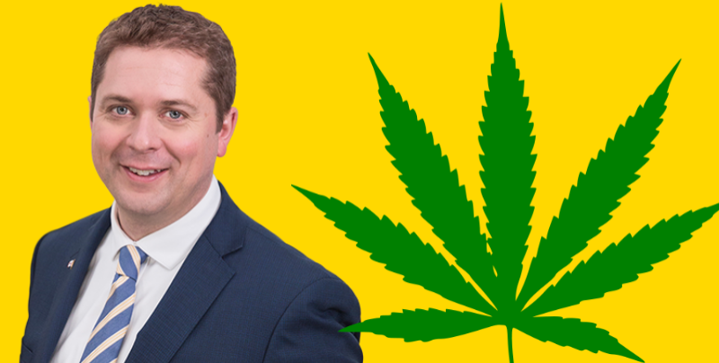 Лидер оппозиции не обещал оставить марихуану легальной