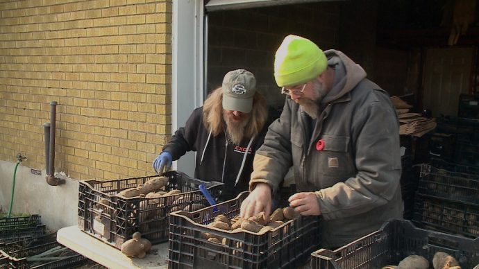 По-канадски: тонна картофеля пострадавшим от пожара северянам