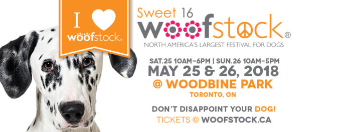 Woofstock: «гав-фестиваль» для наших друзей в Канаде