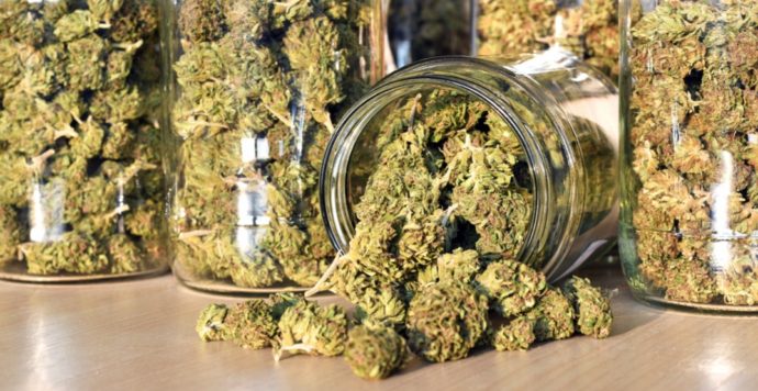 В Онтарио появилось два новых поставщика марихуаны